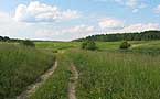 Grassland in countryside